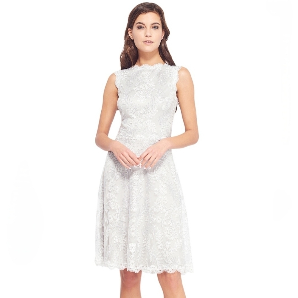 Tadashi Shoji Silver Pandora Embroidered Dress 12